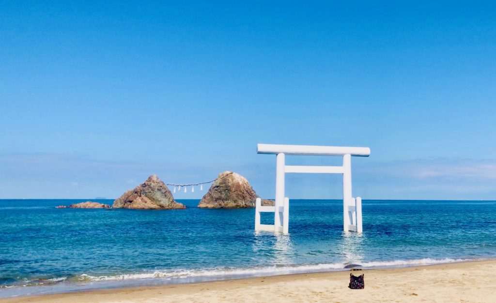 【2026最新現地取材】なぜいま糸島なのか？絶景カフェの「その先」へ行く大人たちの隠れ家ぽたり旅
