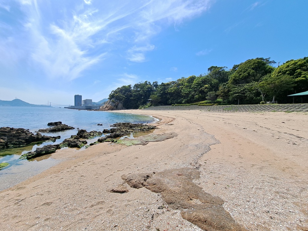 2026年、静岡の秘景「三軒屋海岸」が魅せる再生のドラマ〜砂浜復元とストロベリーロードの新展開
