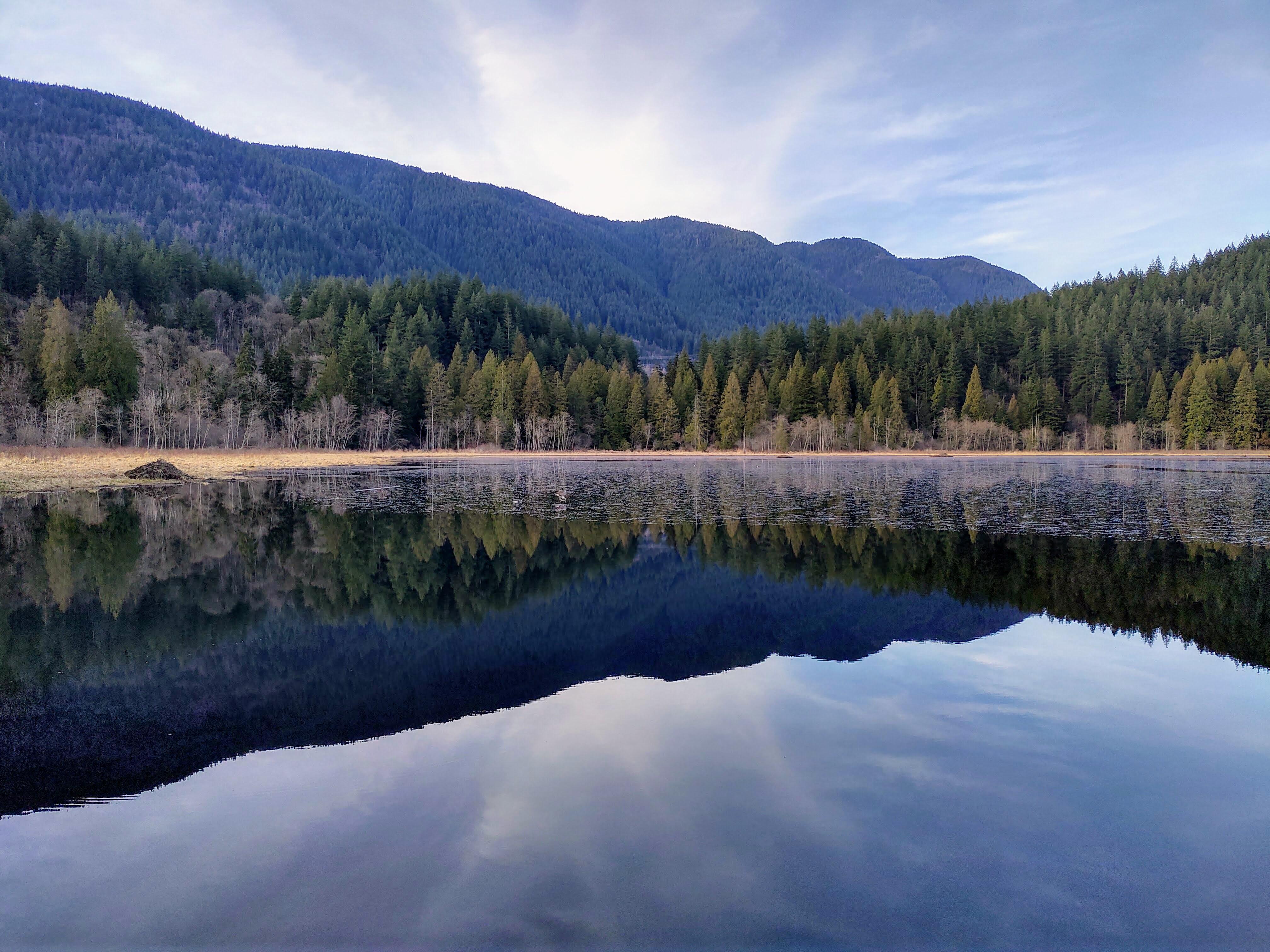 What Is Still Water in Nature