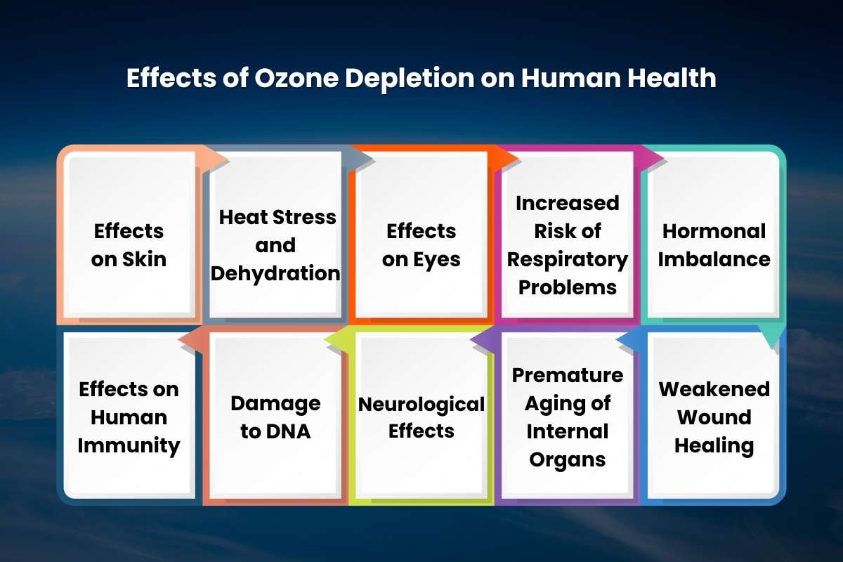 Effects of Ozone Depletion on Humans
