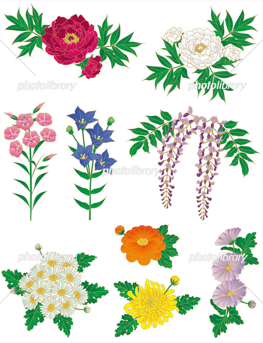 四季を彩る和の花図鑑｜代表的な種類と花言葉の由来から育て方まで