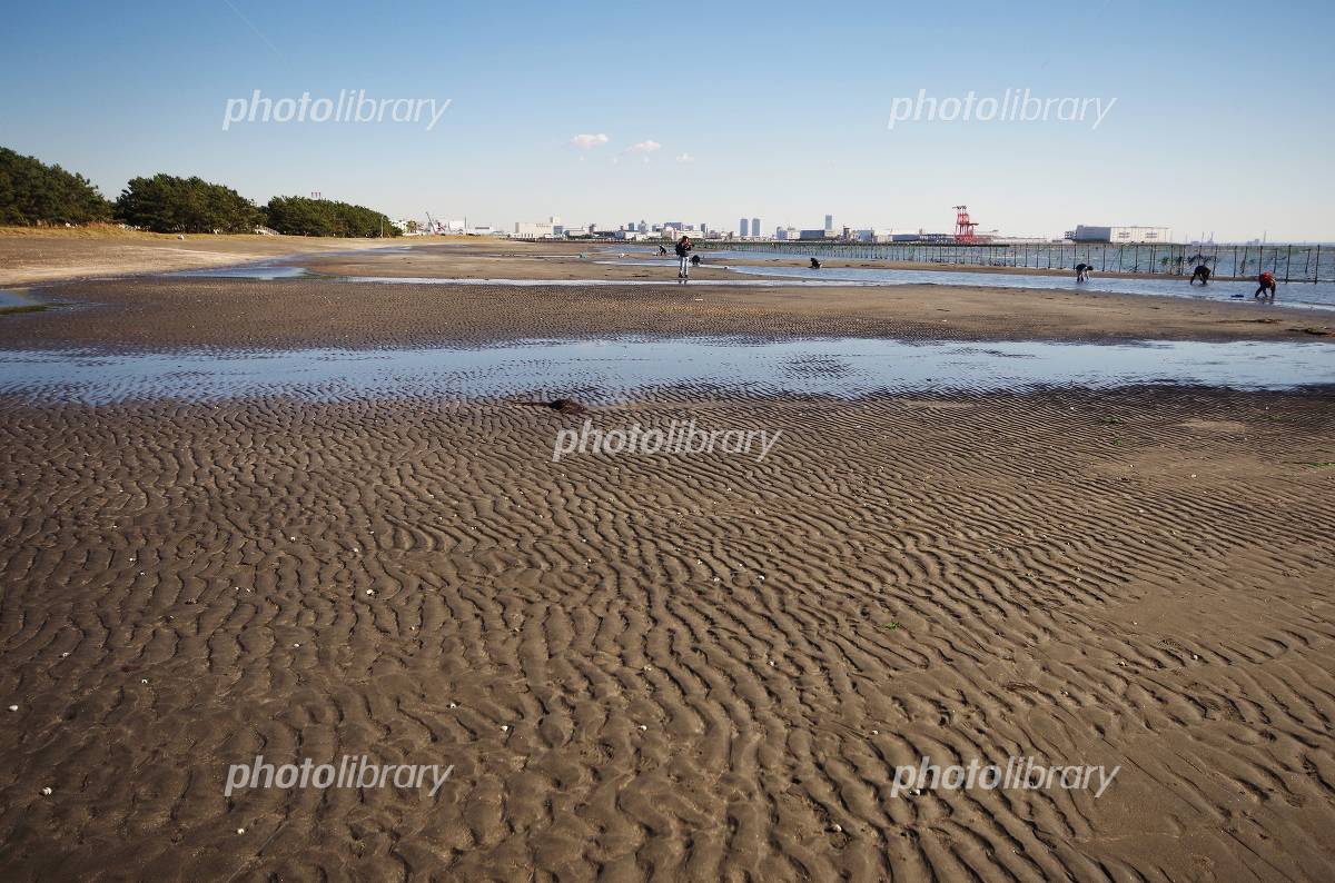 三番瀬海浜公園の潮干狩り＆Bbq攻略！混雑回避と予約の落とし穴