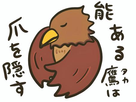 【Wiki風】 能 ある 鷹 は 爪 を 隠す 2026年最新プロフィール #960