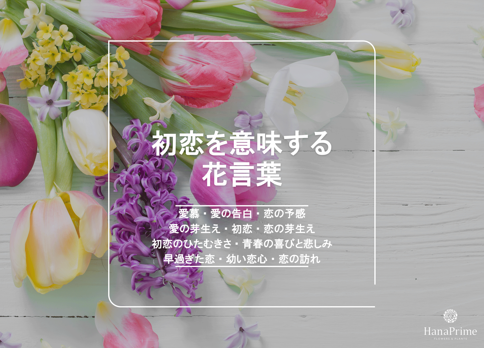 恋愛の花言葉完全ガイド！告白の定番からプレゼントNgな怖い裏の意味
