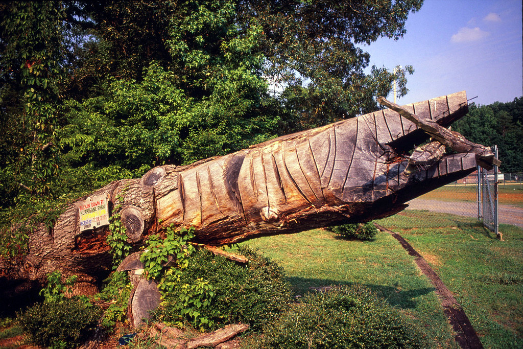 Clyde Jones Bynum Nc
