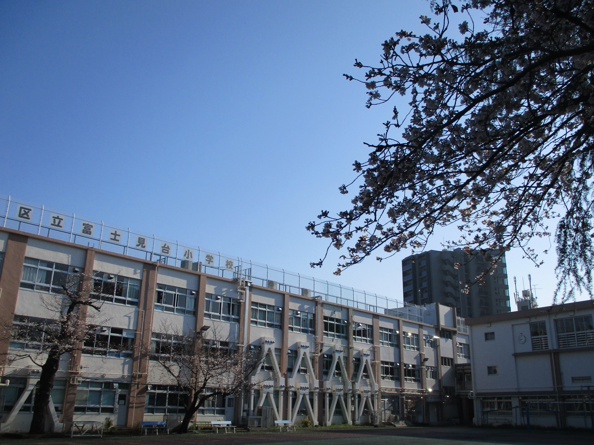 富士見台小学校の評判と受験率の真相｜学区選びで後悔しない徹底検証