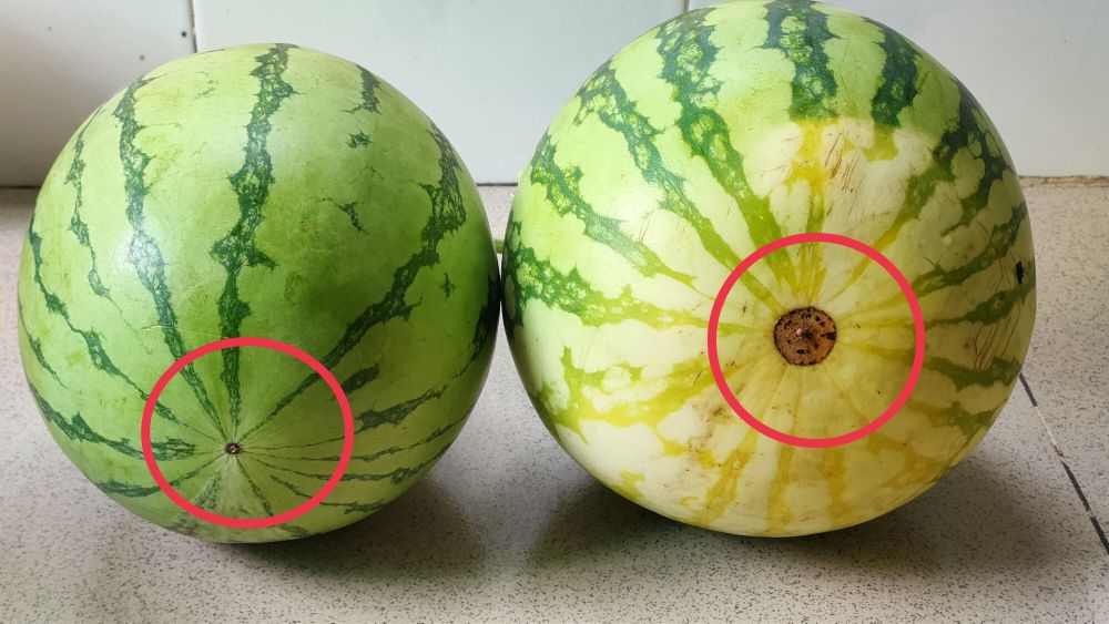 How to Tell If a Watermelon Is Sweet