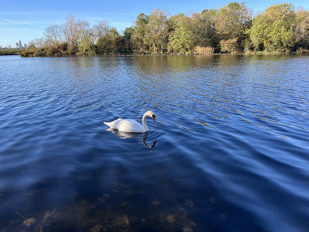 Walthamstow Wetlands London Wildlife Trust