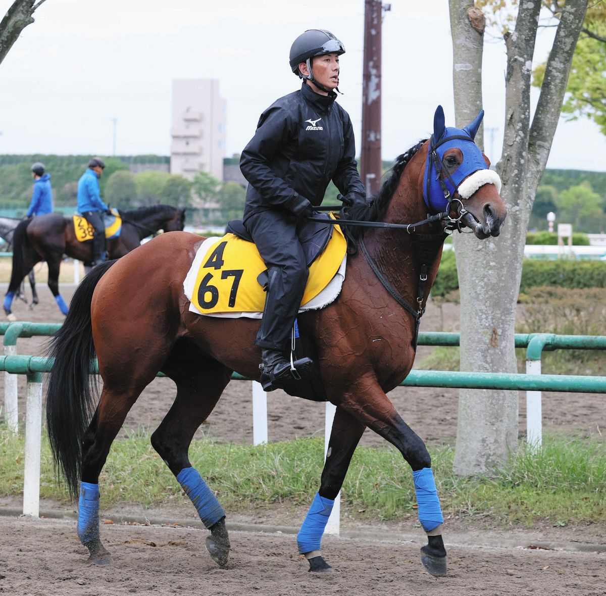 松岡勝利の経歴と現在の活動とは？噂の真相から評判まで徹底解説