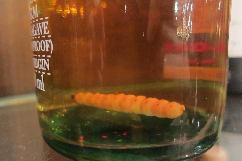 Why Is There a Worm in the Bottle of Tequila