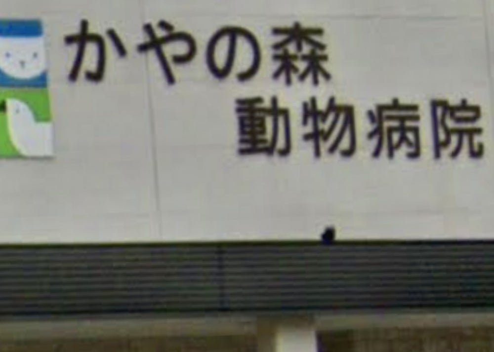 飯塚市の皮膚科おすすめ比較2026｜名医の評判・土日診療の真実を追う