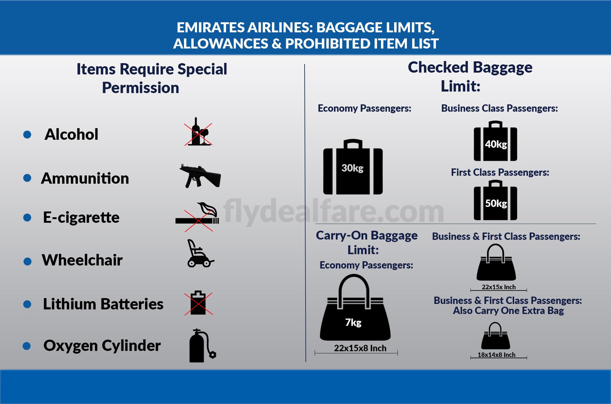 Items Permitted on a Plane