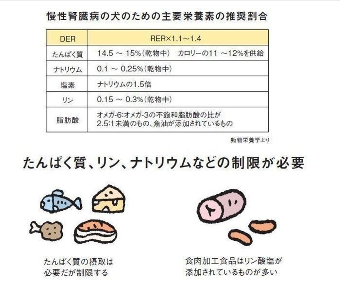 愛犬の腎臓病と食事管理｜食べない原因と寿命を延ばす最新療法食の真実