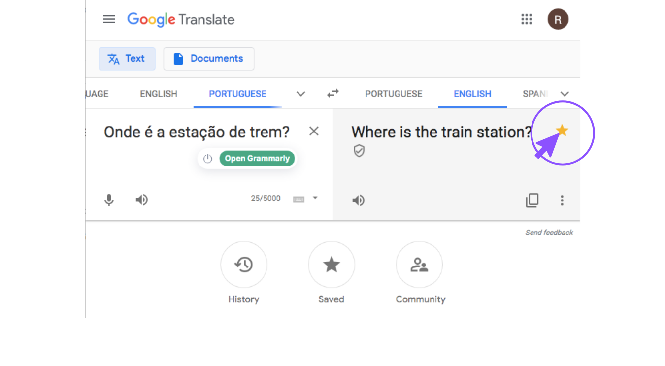 Translate Portuguese to English Google Translate