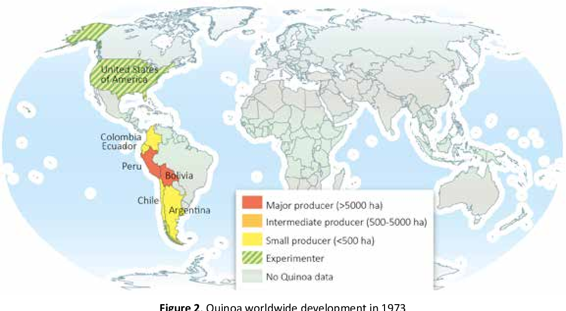 How Much Does Quinoa Expand