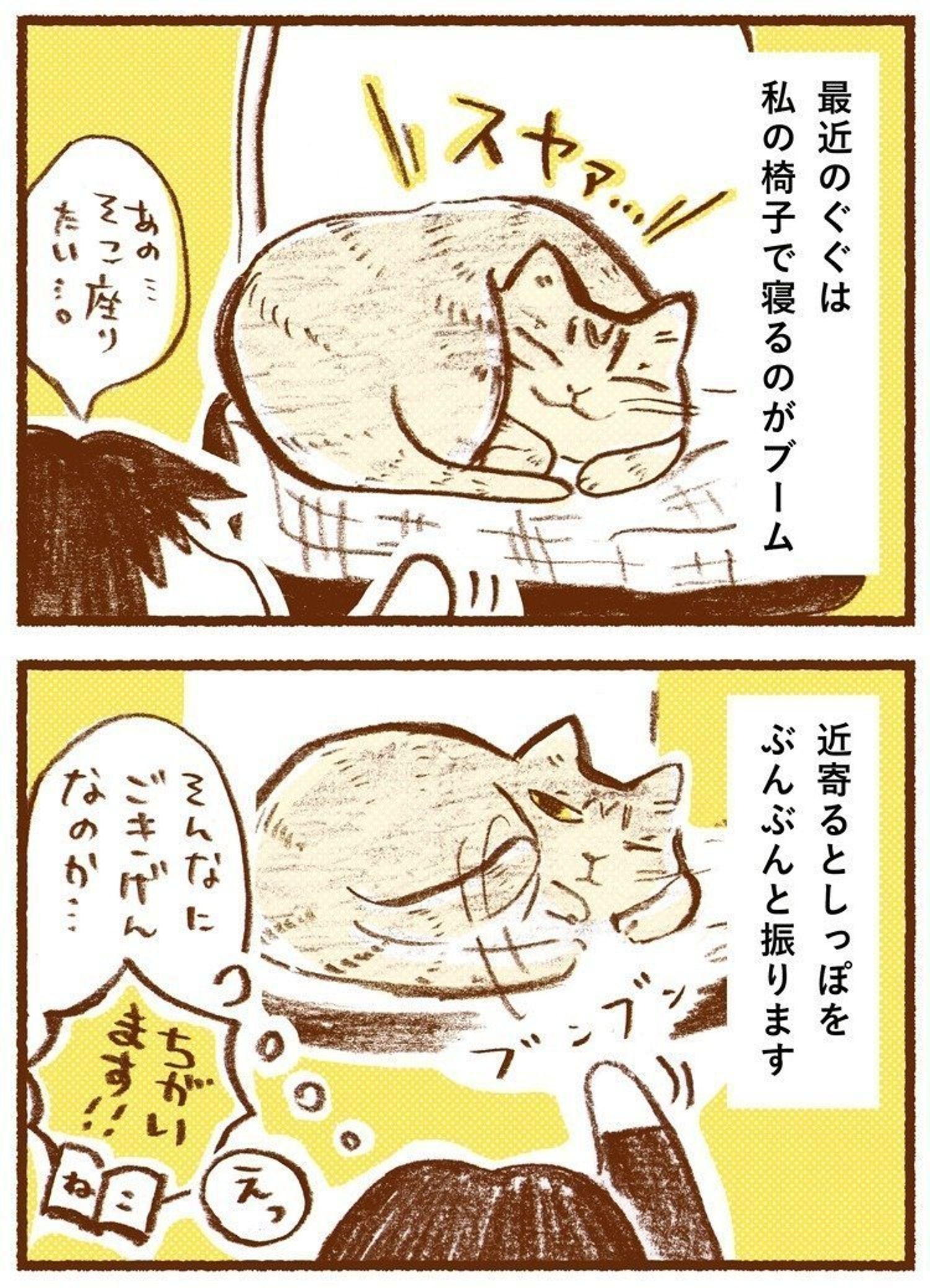 猫がしっぽを振る心理と感情サイン徹底解説｜振り方別の本音と見分け方
