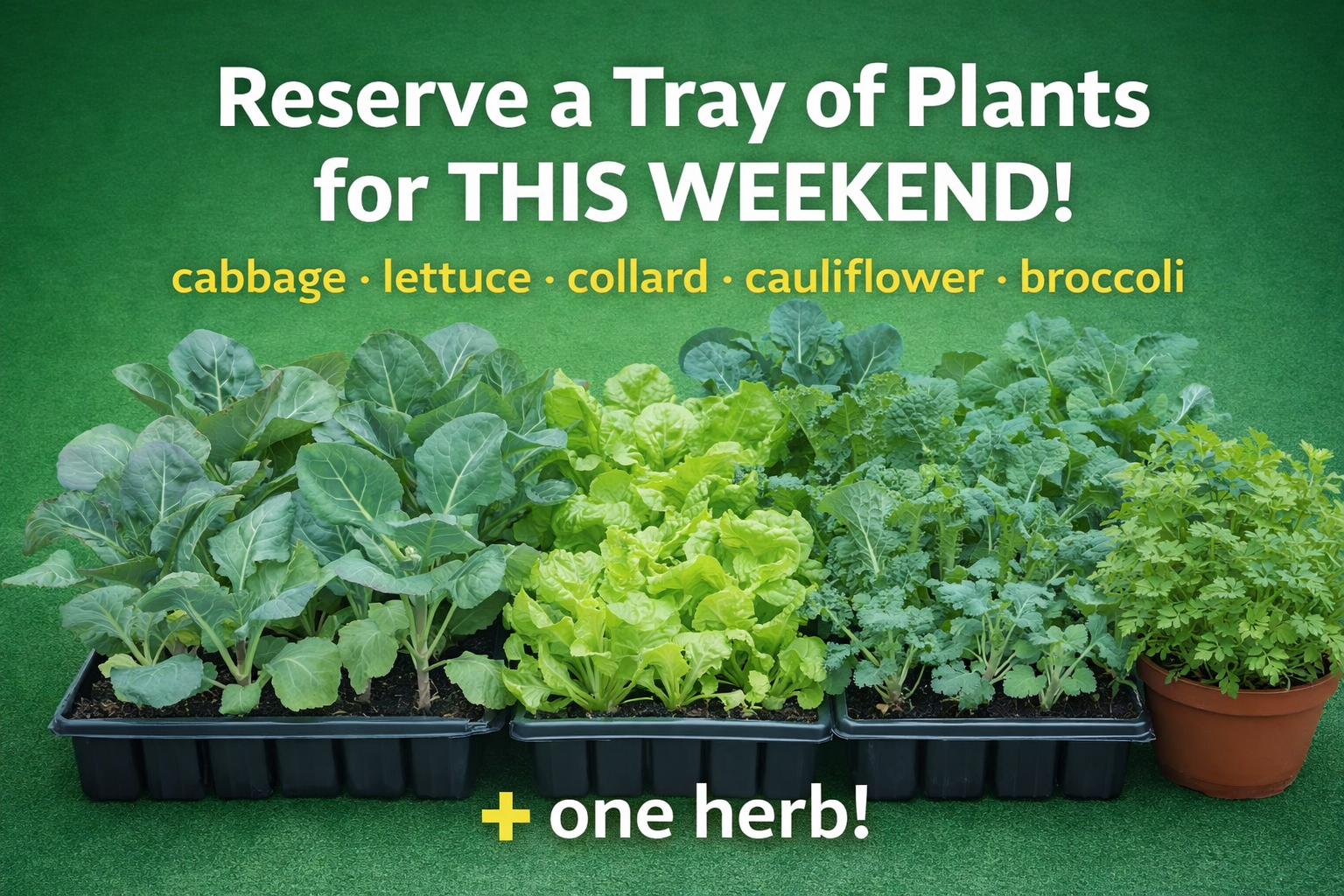How to Pick up Plants in Grow a Garden