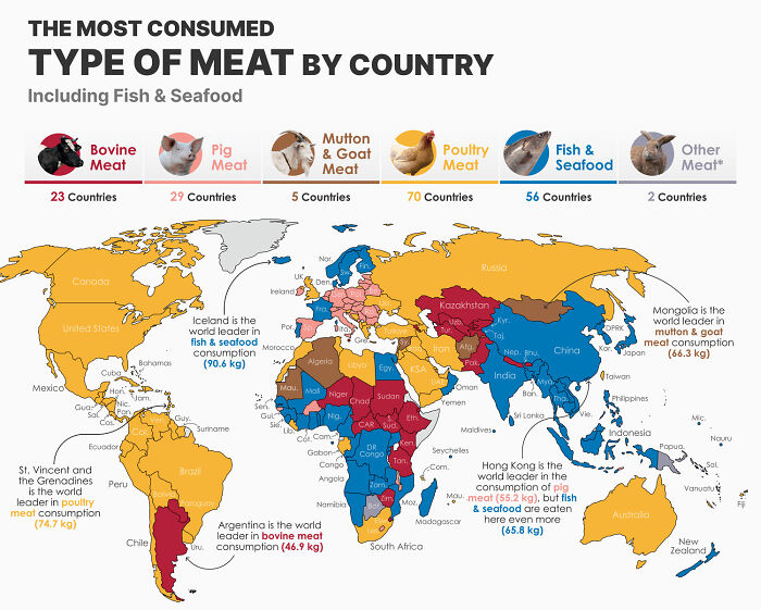 What Continent Region Is Ground Beef Native To
