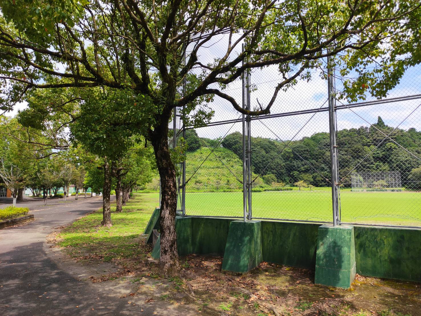 松山城山総合公園の謎を解剖！展望台と無料駐車場の真相【2026】