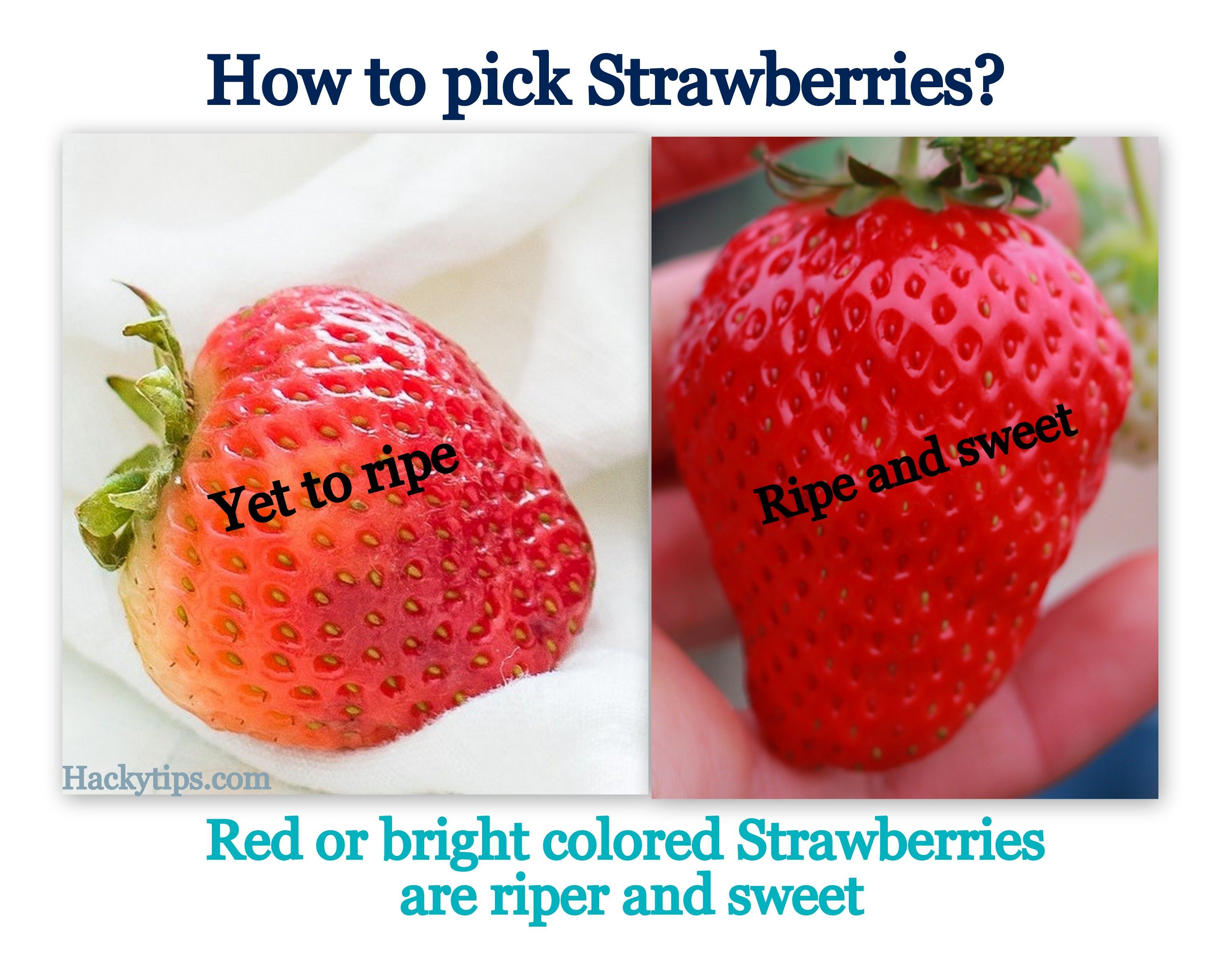 How Do I Ripen Strawberries