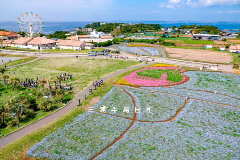 【Wiki風】 長井 海 の 手 公園 ソレイユ の 丘 経歴＆学歴まとめ 2026 #640