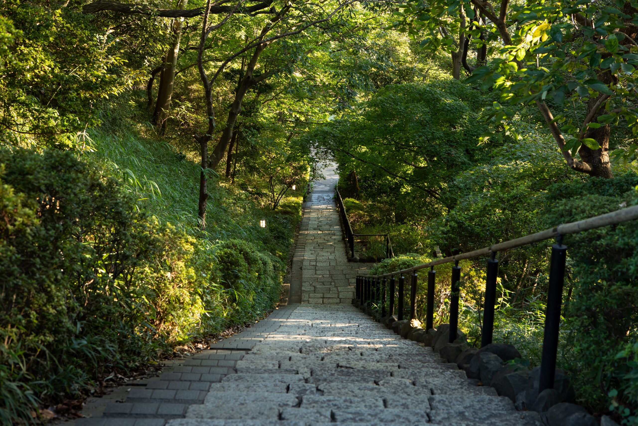 都市の灼熱を癒やす水と緑の聖域——なぜ2026年、全国の「せせらぎ公園」に空前の人波が押し寄せているのか