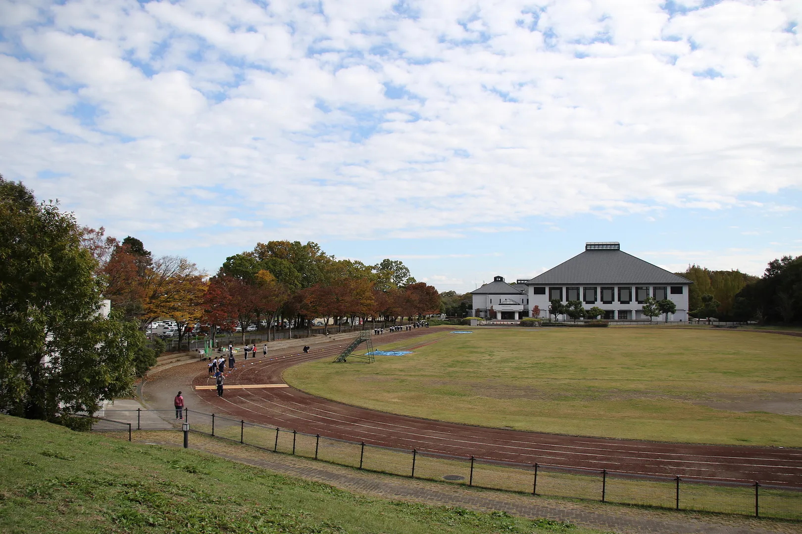岩槻文化公園の完全ガイド2026！予約手順や遊具・桜・駐車場を網羅