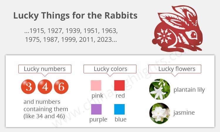 Year of the Rabbit 2026 Predictions