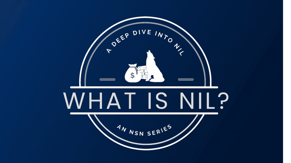 What Is N I L Mean