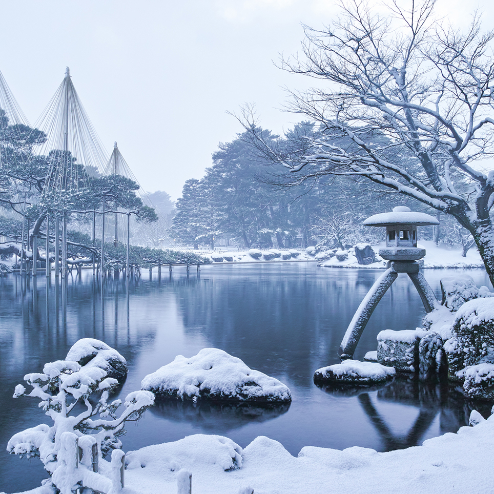 兼六園の雪吊りはなぜ行われるのか？名木を守る職人技と2026最新日程