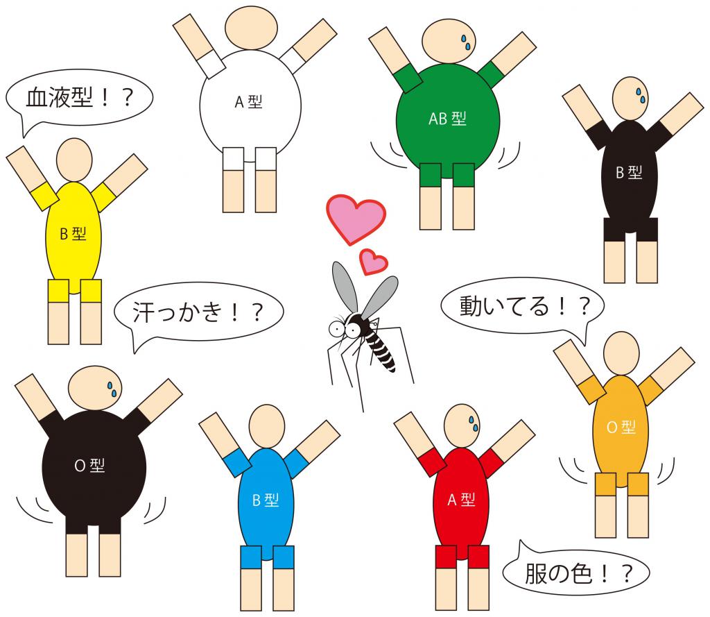 蚊に刺されやすい血液型はO型？噂の科学的真相と最新対策【2026】