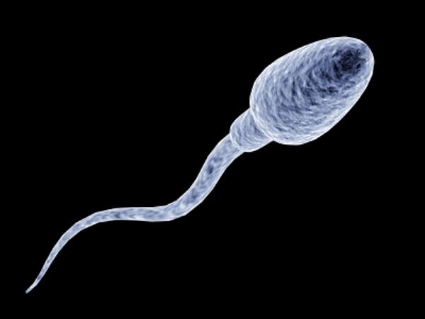 【2026年最新】「米 青子」の検索数が急増する理由とは？男性の妊活・ヘルスケア最前線と知っておくべき現実