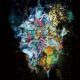 Radwimps「五月の蝿」が2026年の今再びバイラルする理由――「最凶のラブソング」が持つ狂気と、現代社会が求める“剥き出しの感情”
