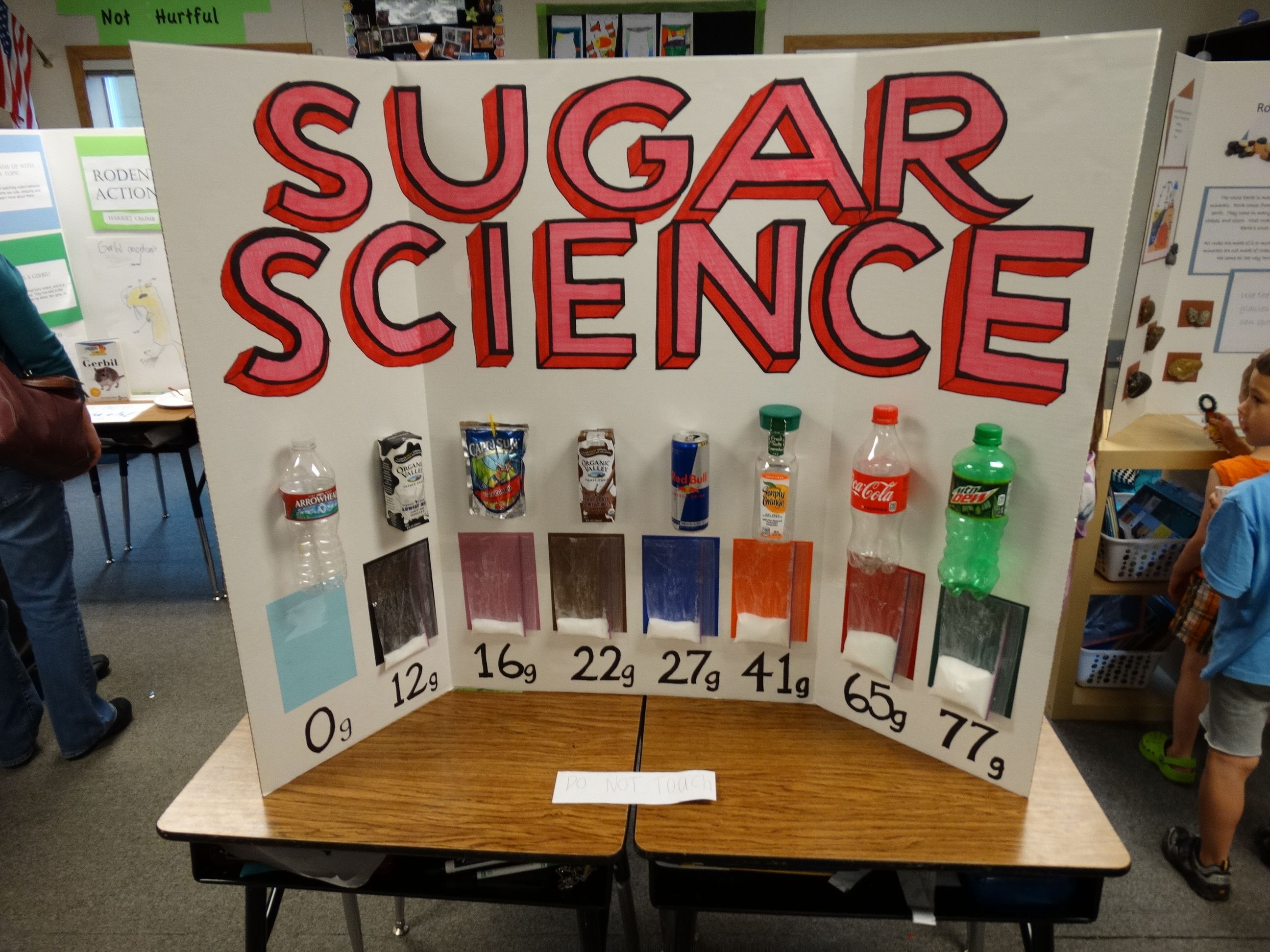 Science Fair Experiments for 4Th Graders