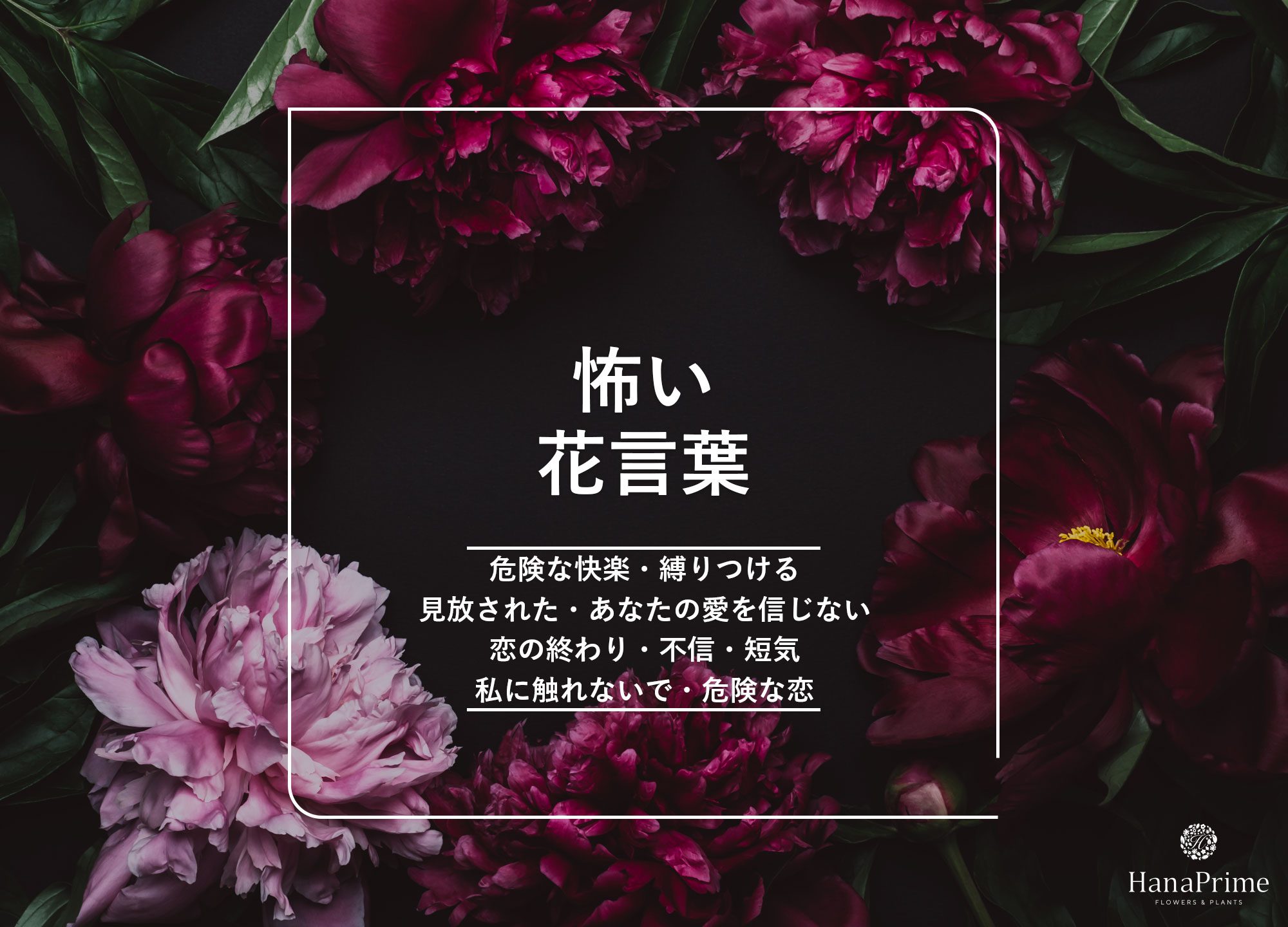 【美と狂気】死と復讐を招く怖い花言葉一覧！贈り物に潜む裏の顔と真相