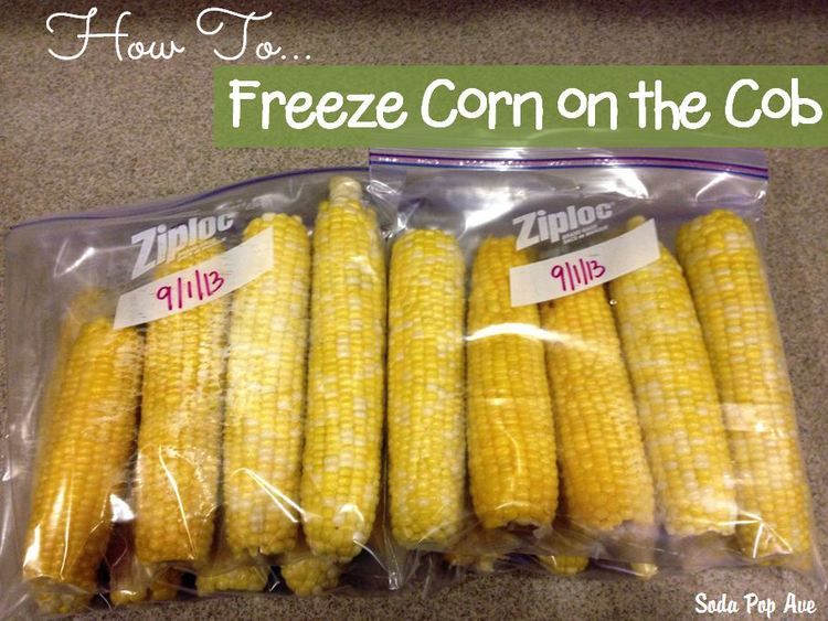 Freezing Sweet Corn Without Blanching