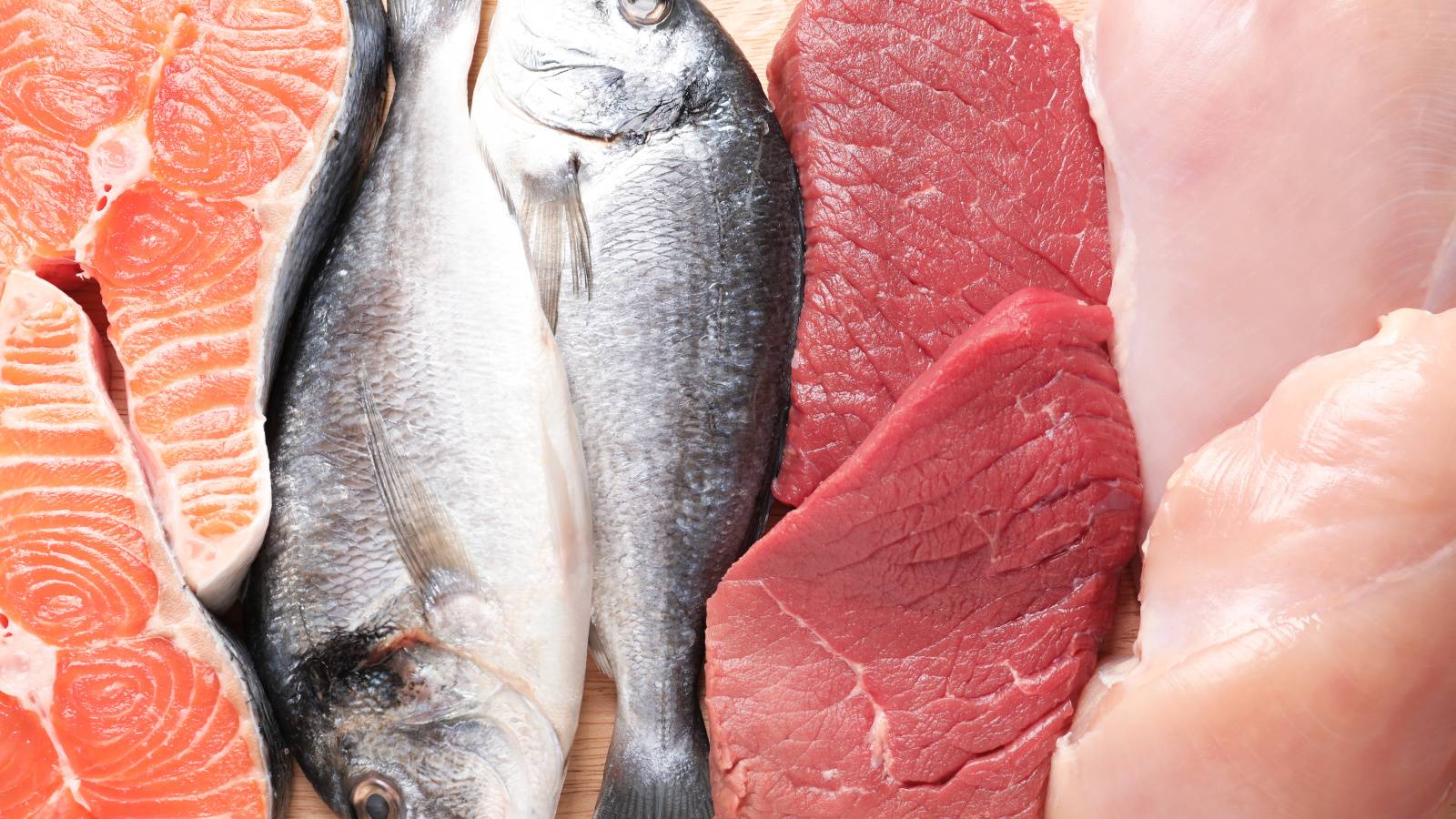 肉と魚はどっちが体にいい？栄養比較と健康寿命の真相【2026年最新】