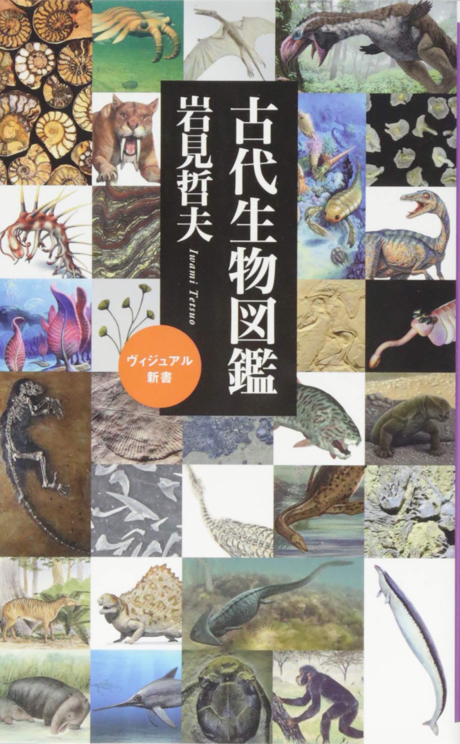 古代生物図鑑の選び方とおすすめ比較