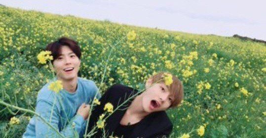 Park Bo Gum Taehyung Jeju