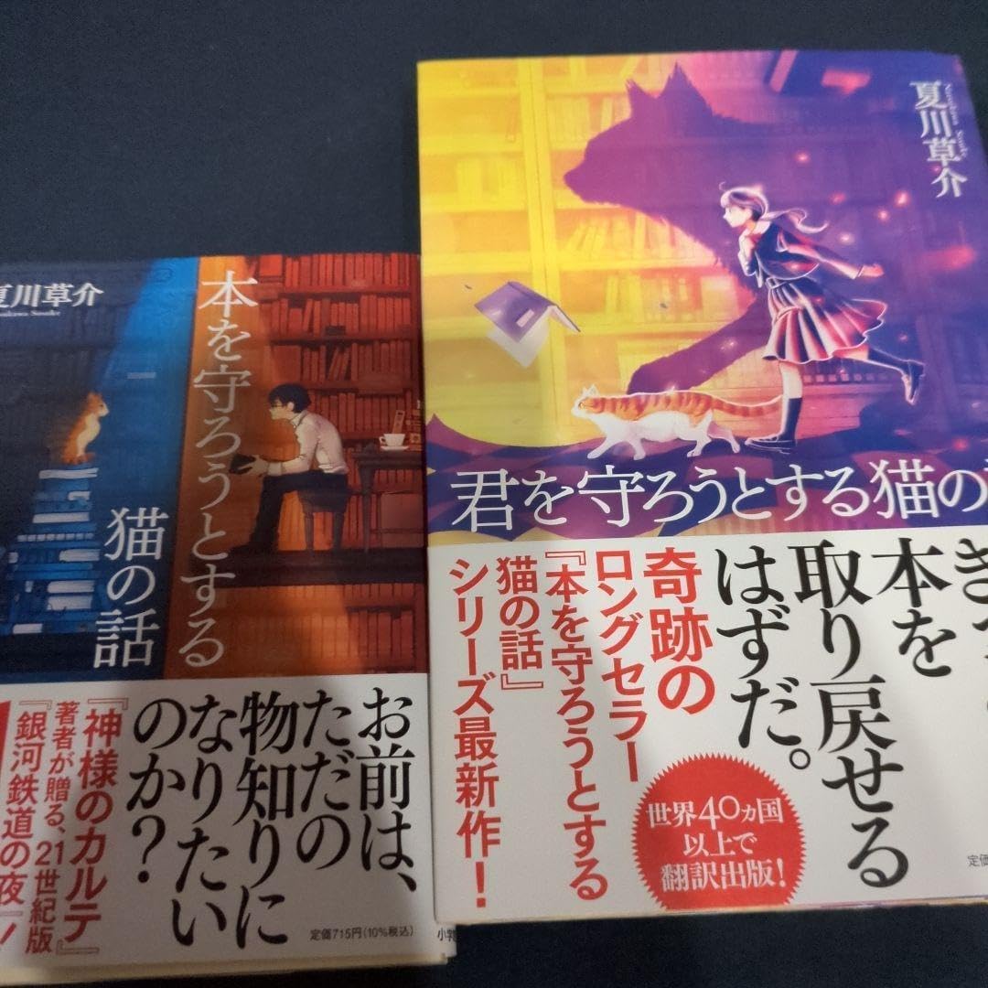 『本を守ろうとする猫の話』あらすじ結末ネタバレ！名言と迷宮の謎を徹底考察