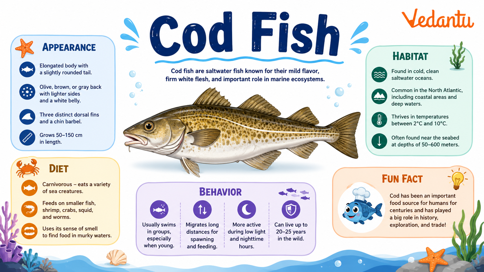 What Does Cod Fish Eat