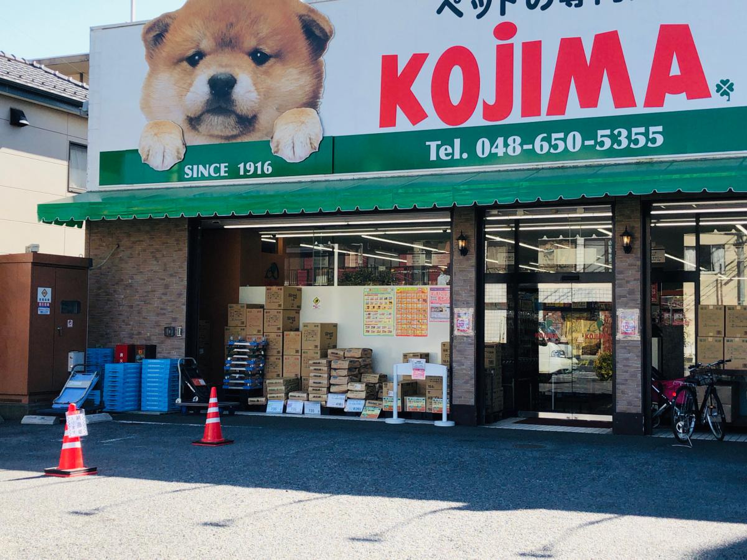 ペットのコジマ大宮店の評判は？料金や混雑の実態を徹底検証【2026】