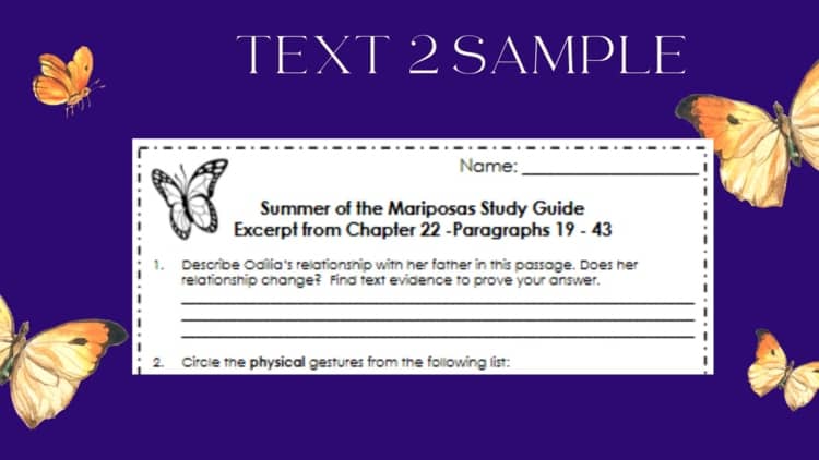 Summer of the Mariposas Quotes with Page Numbers