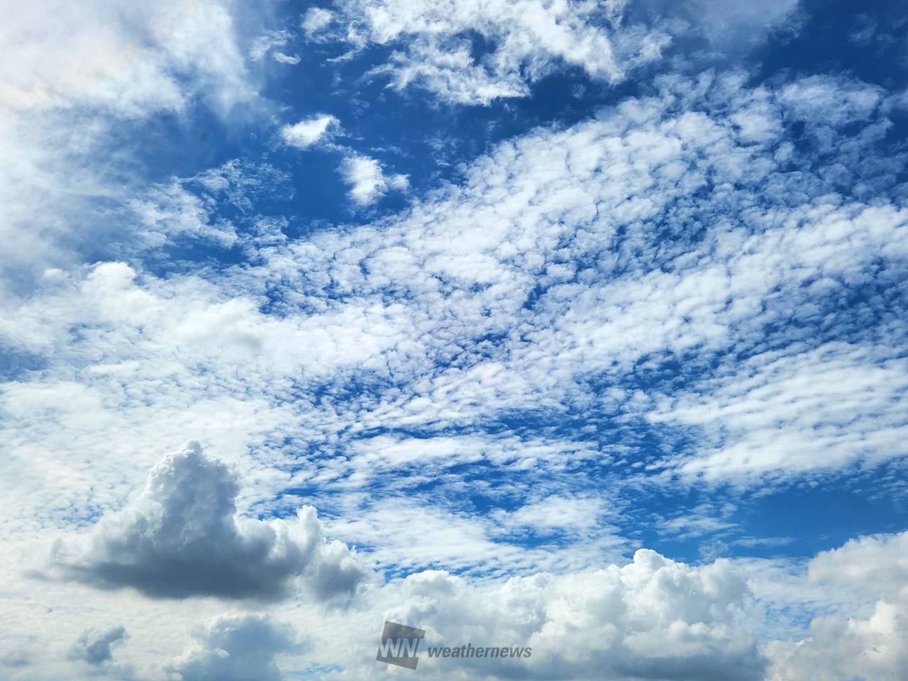 夏の雲の種類と見分け方！ゲリラ豪雨の危険な予兆と入道雲の正体