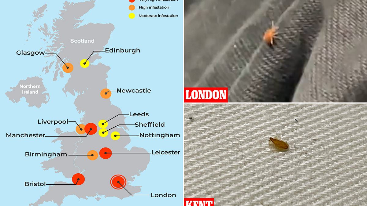 Is There a Bug Going Around Right Now Uk