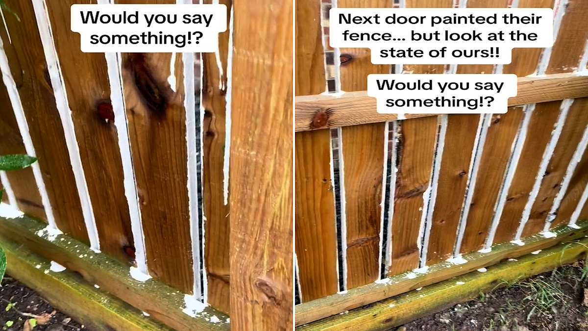 Neighbour Painted My Fence Without Permission