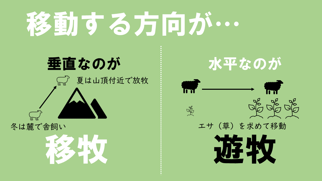 遊牧とはどんな生活？移牧・放牧との違いや現代の実態を徹底解剖
