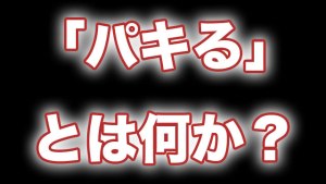 【まとめ】 パキ る と は 人気理由と評判まとめ #973