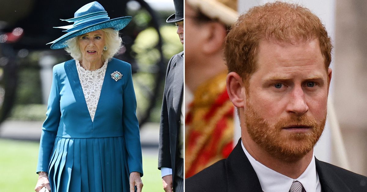 The Past Unearthed: How Prince Harry’s Claims Put Queen Camilla’s Royal Standing on Edge