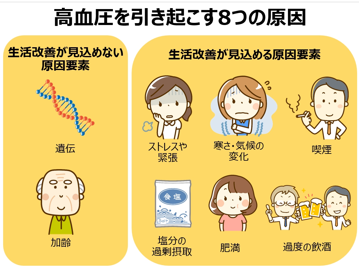 最低血圧が高い原因とは？上が正常でも放置厳禁なリスクと改善法